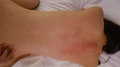 完整版的私